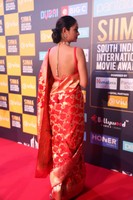Shanvi Srivastava at SIIMA Awards 2018 Red Carpet